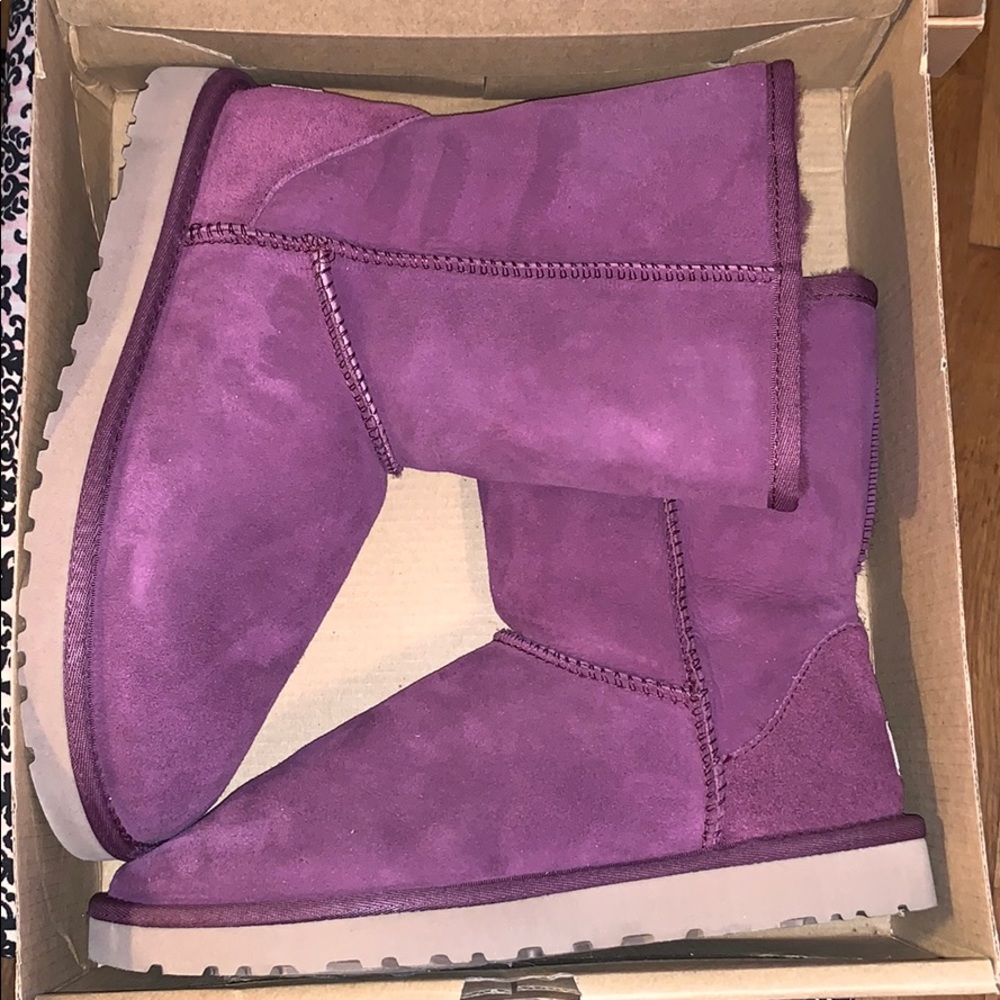 NIB Purple Classic short women’s UGG boots Sz 8